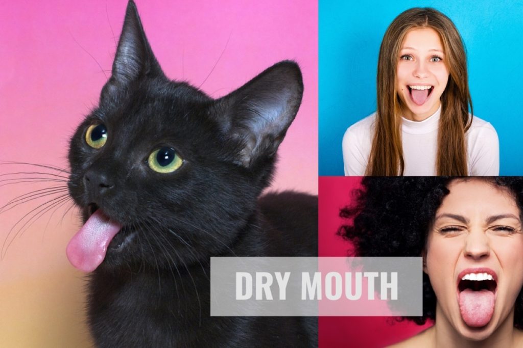 Xerostoma is commonly known as dry mouth