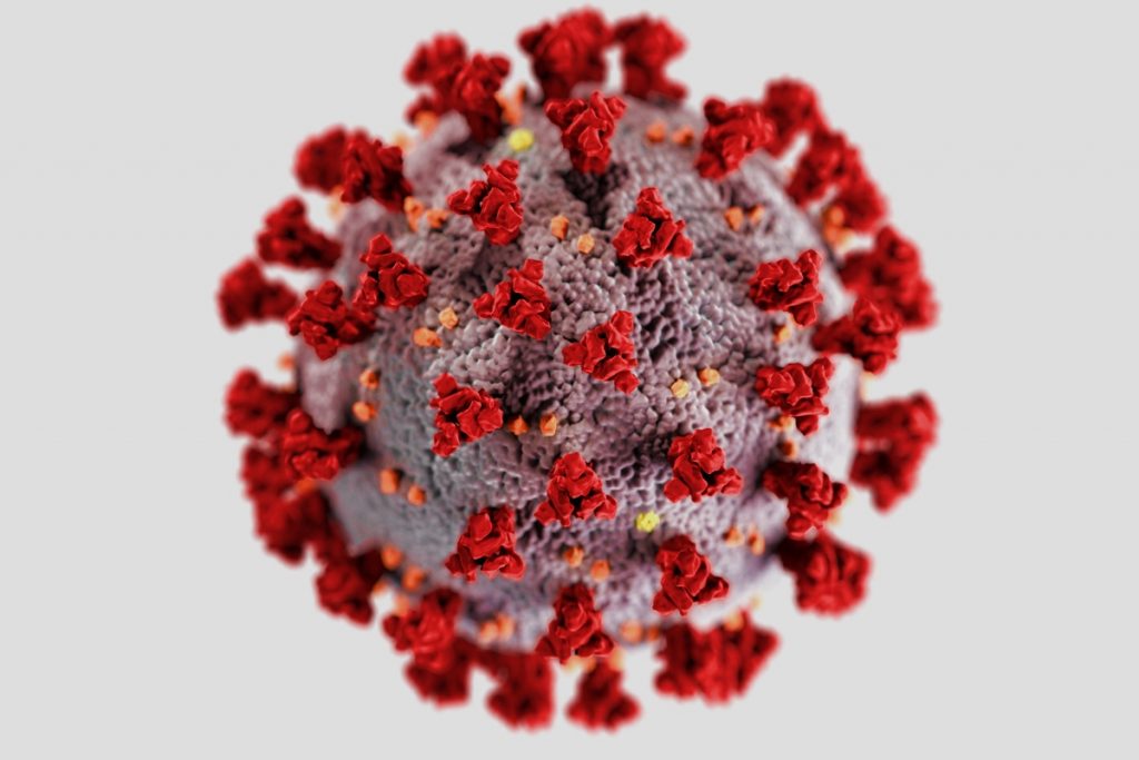 Centers for Disease Control and Prevention (CDC), reveals ultrastructural morphology exhibited by coronaviruses